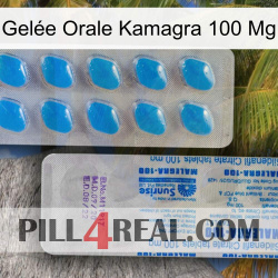Gelée Orale Kamagra 100 Mg